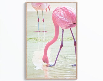 Flamingo Print, Flamingo Nursery Wall Art, Flamingo Nursery Decor, Flamingp Digital Art, Pink Home Decor, Digital Download, Kids Room Poster