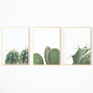 Cactus Print, Set of 3 Prints Cactus Wall Art, Cactus Photography, Cactus Printable, SouthWestern Print, Cactus Decor, Nature Print, Desert