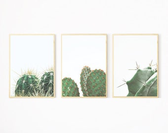 Stampa di cactus, set di 3 stampe, arte murale di cactus, fotografia di cactus, stampa di cactus, stampa del sud-ovest, decorazione di cactus, stampa della natura, deserto