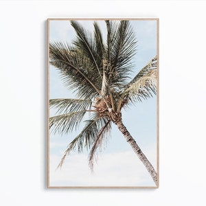Palm Tree Wall Art Print, Palm Tree Tropical Print, Modern Coastal Wall Art, Palm Tree Photography, Living Room Decor, Digital Download Art