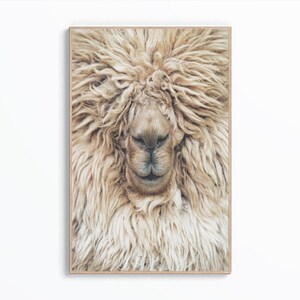 Alpaca Wall Art Print, lamafoto, dierlijke muurprint, alpacaposter, neutrale kinderkamer afdrukbare, schattige dieren, afdrukbare kunst, digitale download