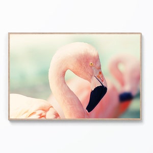 Pink Flamingo Wall Art Print, Tropical Pink Wall Art, Flamingo Print, Flamingo Wall Decor,Tropical Print,Beach Large Poster,Digital Download