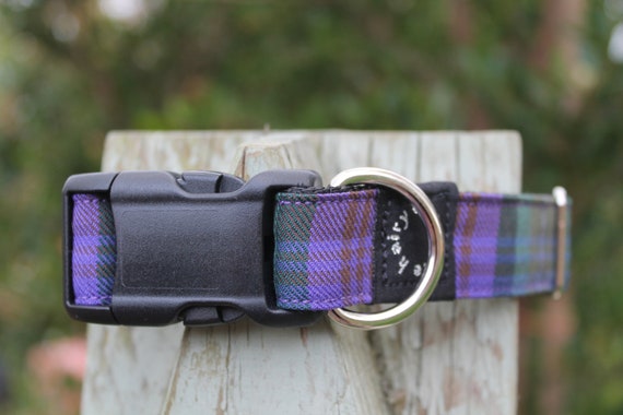Purple plaid dog best sale collar