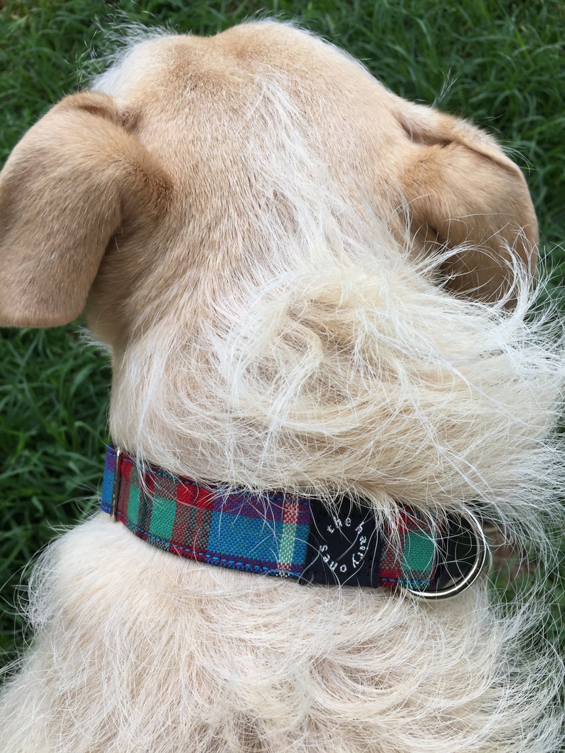Edinburgh Scottish TartanPlaid Dog collar with ID tag /& personalised engraving Australia