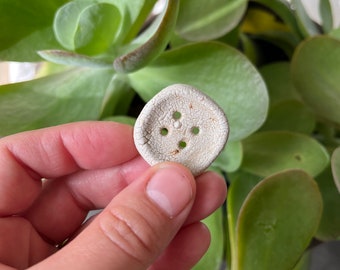 May include: A white, round, button-shaped object with four holes in it. The object is made of a natural material and has a rough texture.