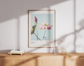 Vintage Lotus Flower Art Print – Japanese Botanical Poster