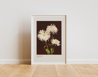 May include: A framed print of white chrysanthemum flowers against a deep red backdrop. The flowers have intricate, spiky petals and green stems. The print is in a white frame, resting against a white wall on a wooden floor.