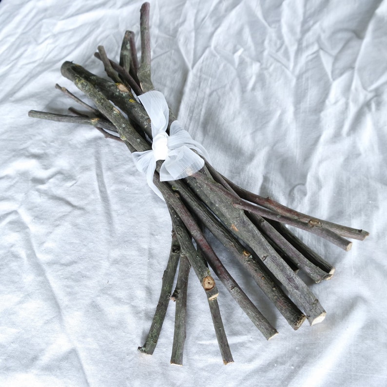 wood craft supply dried Apple sticks wood supply shamanic wood supply Apple tree branches natural wood supply Wood branch Apple sticks
