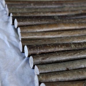Wood branch, Hazel stick, Dried for 2 years, natural wood supply for wand making, 0.8 inch diameter stick, 30 cm / 11.8 inches