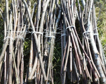 Wood branch Rowan sticks, Dried for 1 year, Mountain ash branches supply, dried Rowan sticks, natural craft wood supply, 30 cm / 12 inches