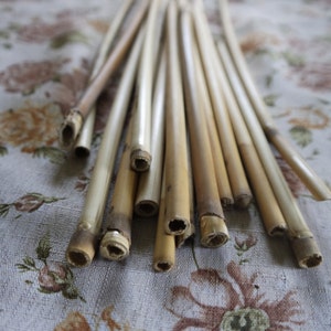 Reeds, dried reeds, craft supply, floral supply, wedding bouquet supply, bridal supply, rustic wedding supply, rustic home decoration DIY