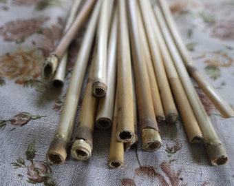 Reeds, dried reeds, craft supply, floral supply, wedding bouquet supply, bridal supply, rustic wedding supply, rustic home decoration DIY