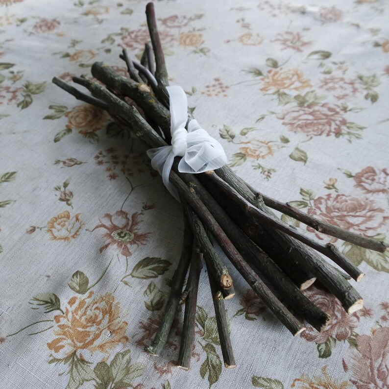 wood craft supply dried Apple sticks wood supply shamanic wood supply Apple tree branches natural wood supply Wood branch Apple sticks
