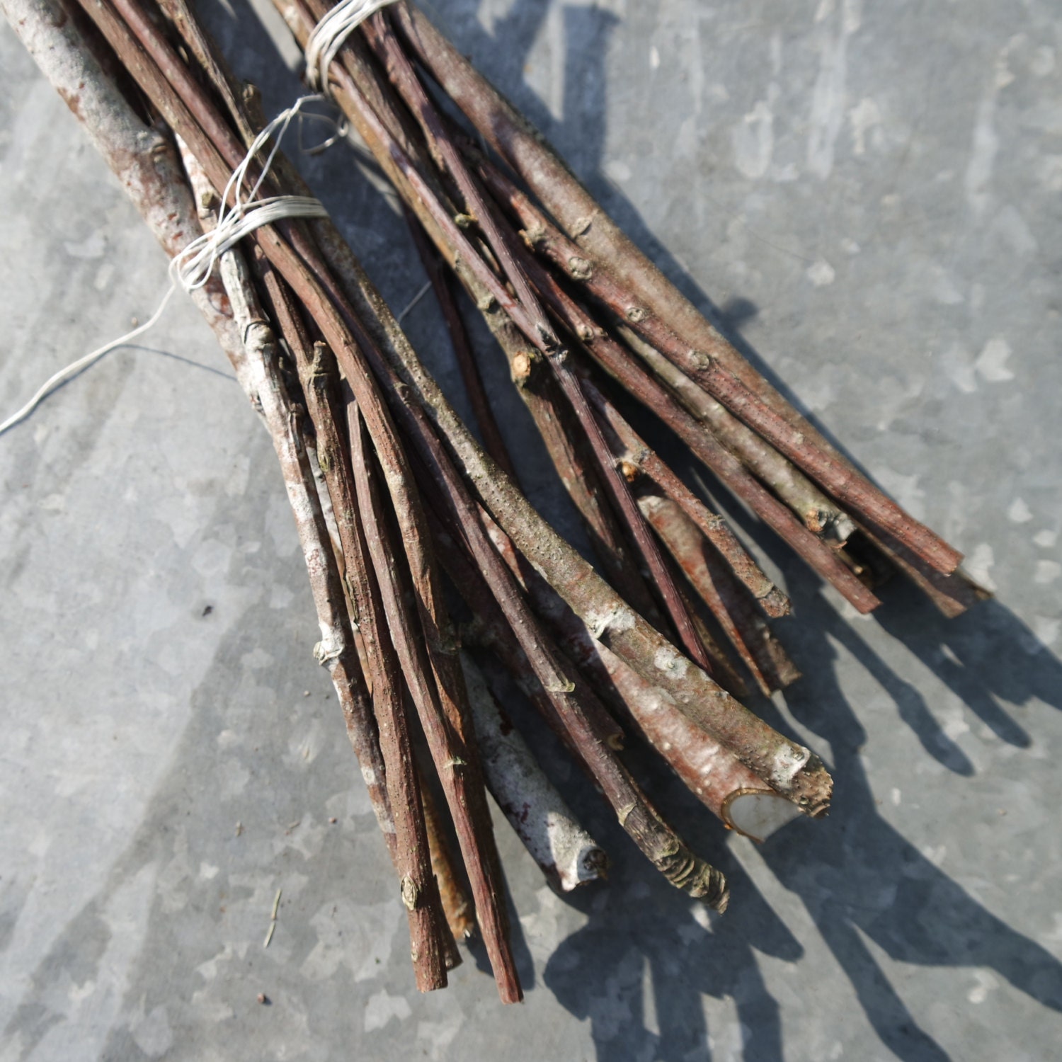 Wood Branch, Maple Stick, Dried for 2 Years, Large Wood Stick