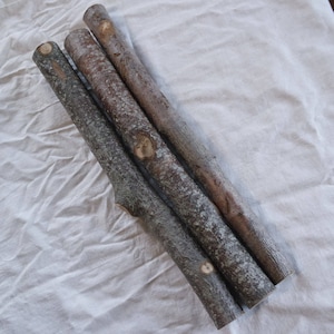 Rowan stick, Dried for 2 years, natural wood craft supply for wand making, 1 inch diameter stick, 37.5 cm / 14.5 inches length