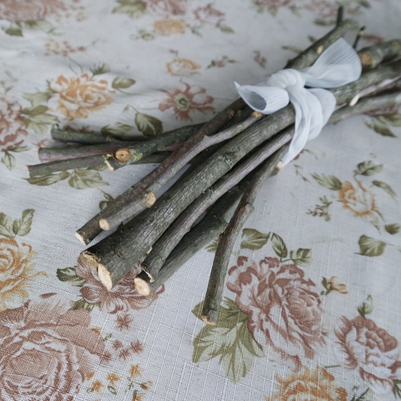 wood craft supply dried Apple sticks wood supply shamanic wood supply Apple tree branches natural wood supply Wood branch Apple sticks