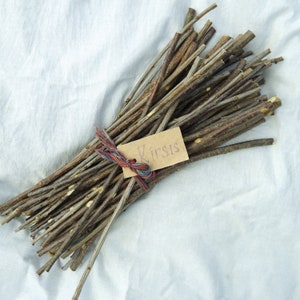 Wood branch Cherry sticks, Dried for 2 years, wood supply dried Cherry sticks, shamanic wood supply 30 cm / 12 inches