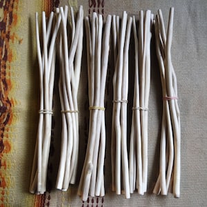 Wood branch Rowan sticks, Mountain ash branches supply, dried Rowan sticks, wand making 6pc 12 inch sticks, shamanic wood 30 cm / 12 inches