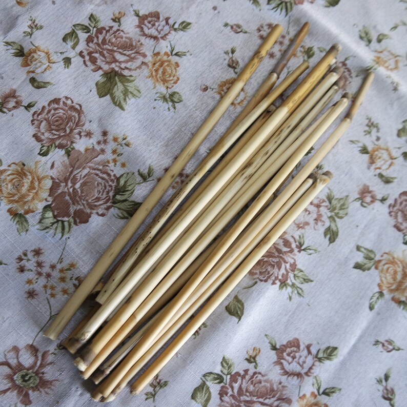 Reeds Dried Reeds Craft Supply Floral Supply Wedding Etsy