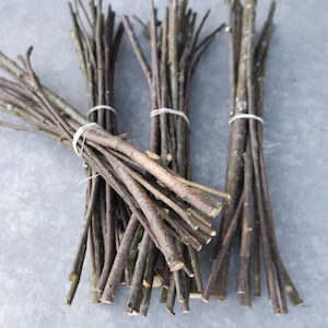 Wood branch Bird Cherry sticks, wood supply dried Bird Cherry sticks, natural wood craft supply, shamanic wood supply 30 cm / 12 inches