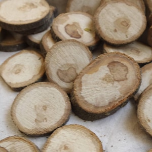 Wood slices, raw apple wood slices, 1.2 inch slices, set of 1 or 25, 1pc or 25pcs textured wood slices, wooden tags rustic wedding supply N6