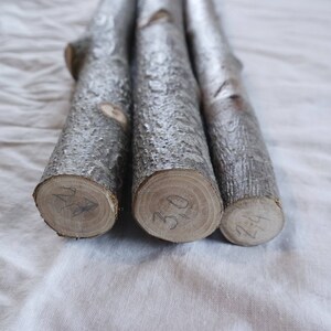 Rowan stick, Dried for 2 years, natural wood supply for wand making, 1 inch diameter stick, 37.5 cm / 14.5 inches length imagen 3