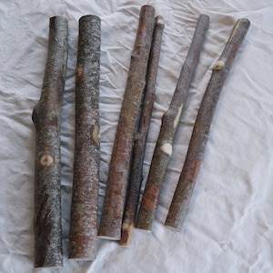 Rowan stick, Dried for 2 years, natural wood supply for wand making, 1 inch diameter stick, 37.5 cm / 14.5 inches length