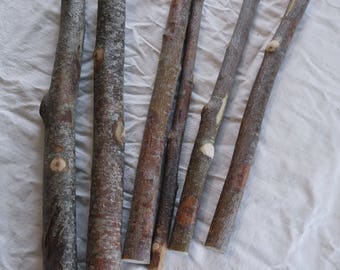 Rowan stick, Dried for 2 years, natural wood supply for wand making, 1 inch diameter stick, 37.5 cm / 14.5 inches length