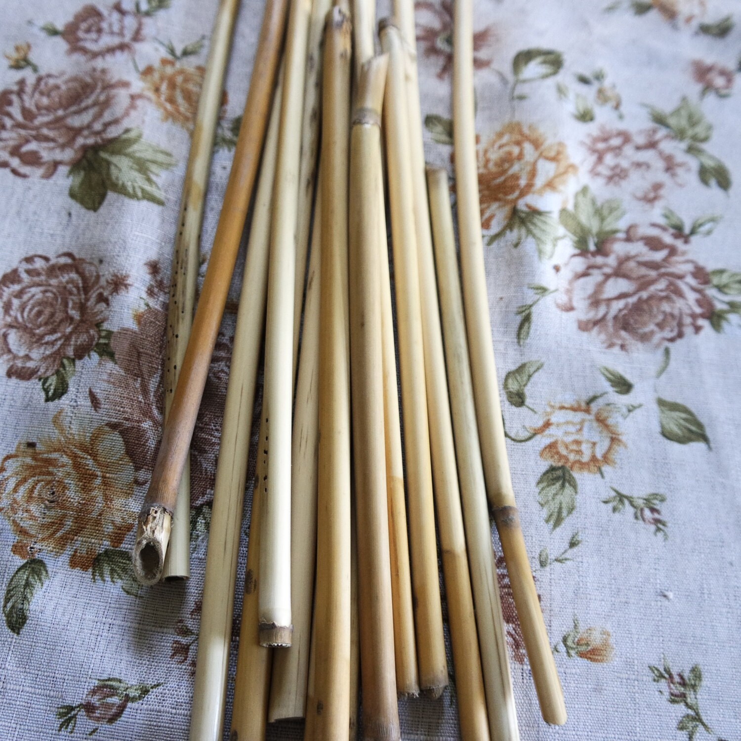 Reeds Dried Reeds Craft Supply Floral Supply Wedding - Etsy