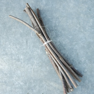 Wood branch Elder branches, Dried for 1 year, Red Elder sticks, dried Red Elder craft sticks, wood craft supply, shamanic wood supply
