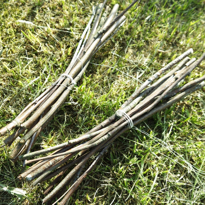 Wood branch Rowan sticks, Dried for 1 year, Mountain ash branches supply, dried Rowan sticks, natural craft wood supply, 30 cm / 12 inches image 3