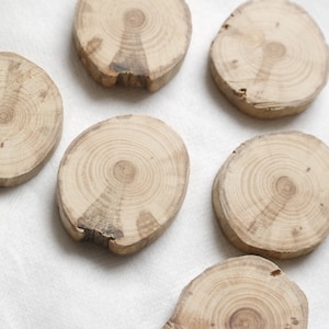 Apple wood slices, sanded wood  1.6 inch slices, set of 1pc or 7pcs patterned wood slices, wooden tags supply, rustic wedding supply N12