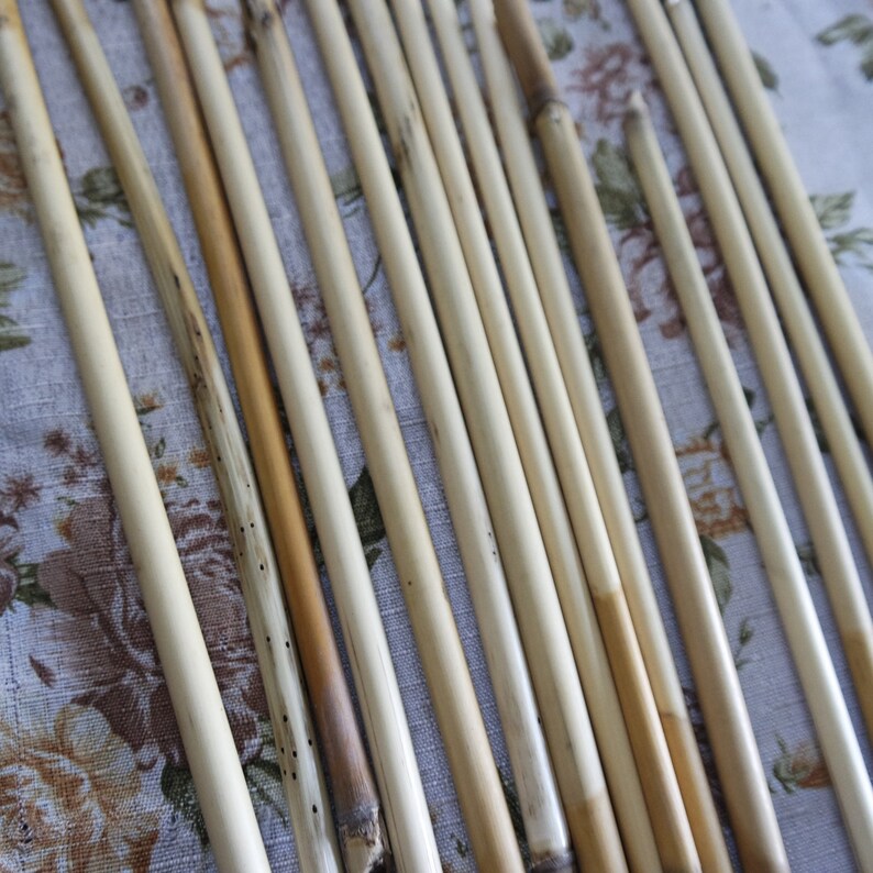 Reeds Dried Reeds Craft Supply Floral Supply Wedding Etsy