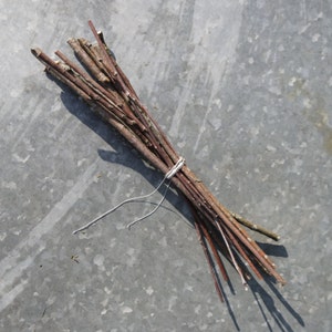 Wood branch Rowan sticks, Dried for 1 year, Mountain ash branches supply, dried Rowan sticks, natural craft wood supply, 30 cm / 12 inches image 2