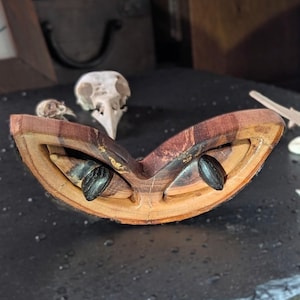 Handskuren kuriosalåda i kattögonfärgat äppelträ: "Sorgen eller katt" - Altarhylla i vild trä