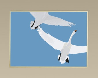 the flight of two by didouch - Birds Collection - Poster in 3 formats