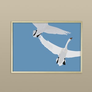 Muestra el vuelo a dos de los formatos didouch 2