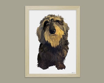 Wirehaired Dachshund - Didouch's Dogs & Animals Display