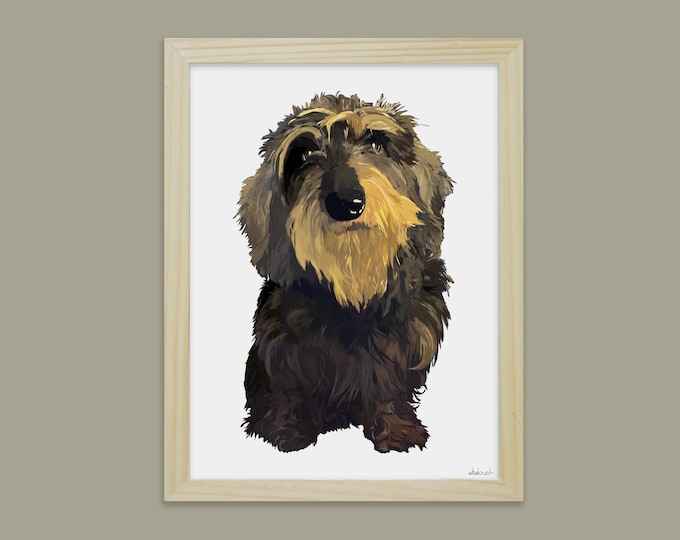 Wirehaired Dachshund - Didouch's Dogs & Animals Display
