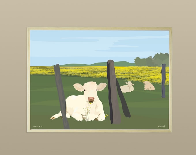 the cows of didouch - countryside collection