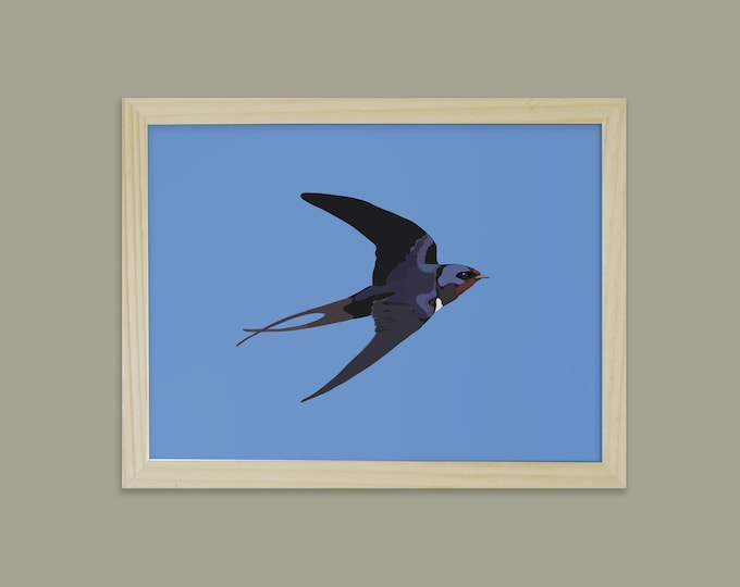 didouch's swallow - Birds Collection - Poster 18x24