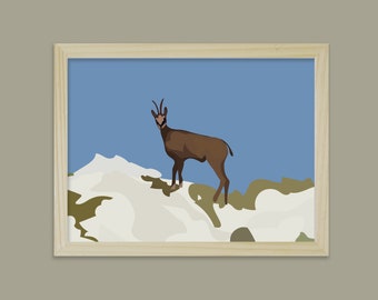 ballade de didouch - Mountain & Animals Collection