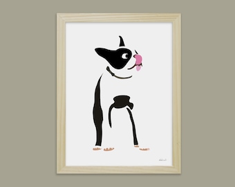 Boston Terrier Displays dogs & animals by didouch
