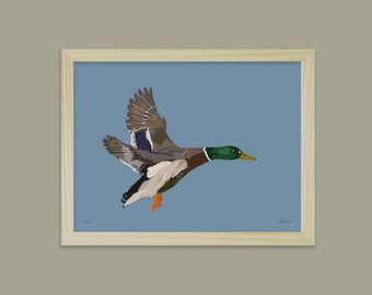 the mallard "the flight" - Didouch's animals poster