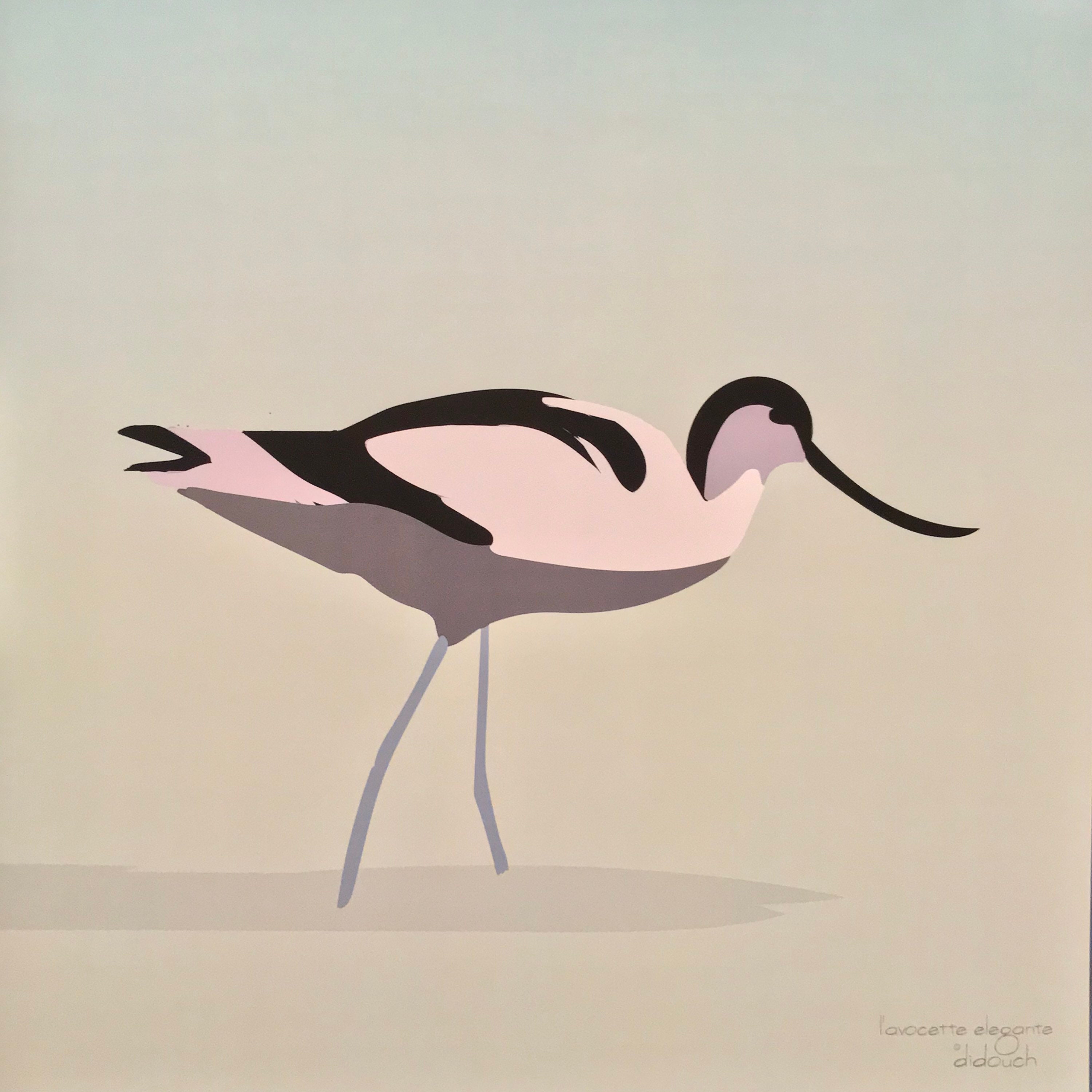 Affiche 30x30 cm L'avocette Élégante de Didouch - 250Gr Satin Pour Décoration Thème Oiseau