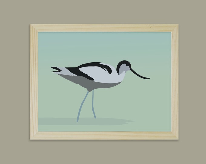 Didouch's Pied Avocet - Bird theme poster