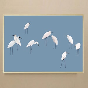 Garcetas Didouch - Colección Pájaros - Póster en 3 formatos