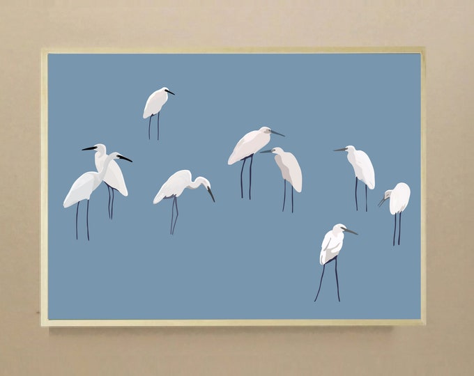 Didouch egrets - Birds collection - Poster in 3 formats