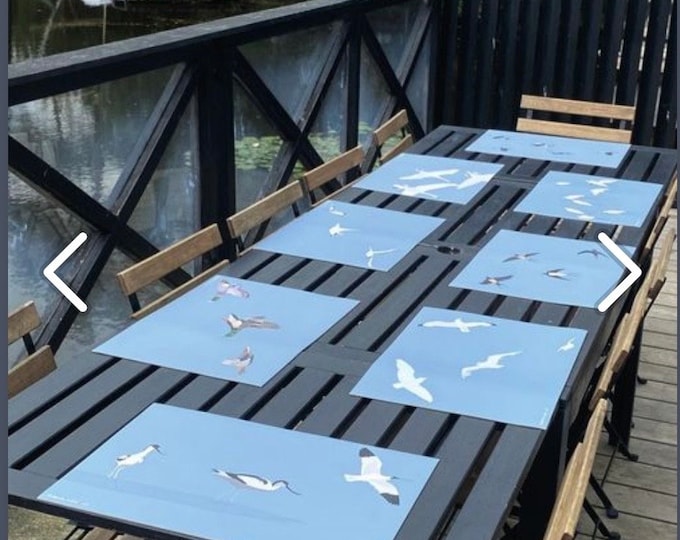 Vinyl placemat • Birds collection by didouch