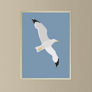 Gaviota reidora de Didouch - Póster temático de aves